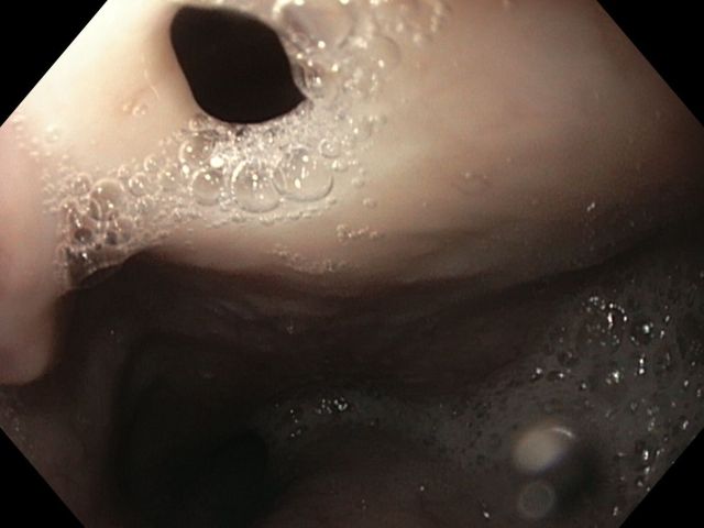 PIE 2020 - Menção Honrosa - Fotografia