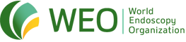 WEO Logo